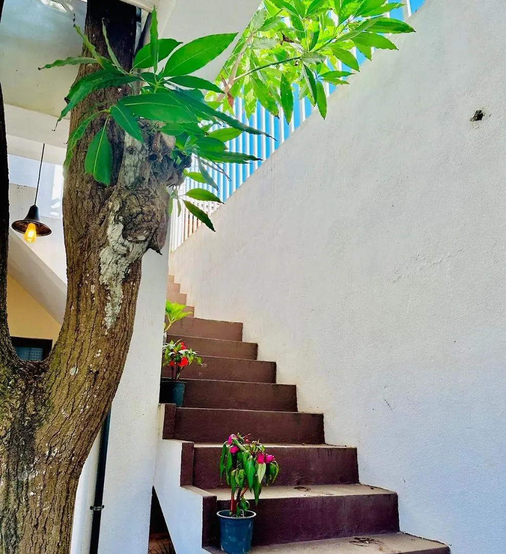 Sea Breeze Guest House Negombo
